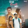 About Tere Raaste Mei Song